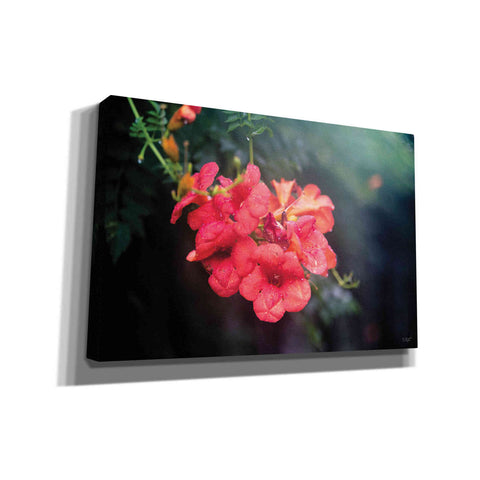 Image of 'Summer Rain' by Donnie Quillen, Canvas Wall Art
