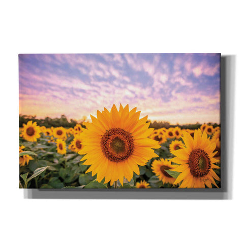 Image of 'Sunflower Sunset' by Donnie Quillen, Canvas Wall Art