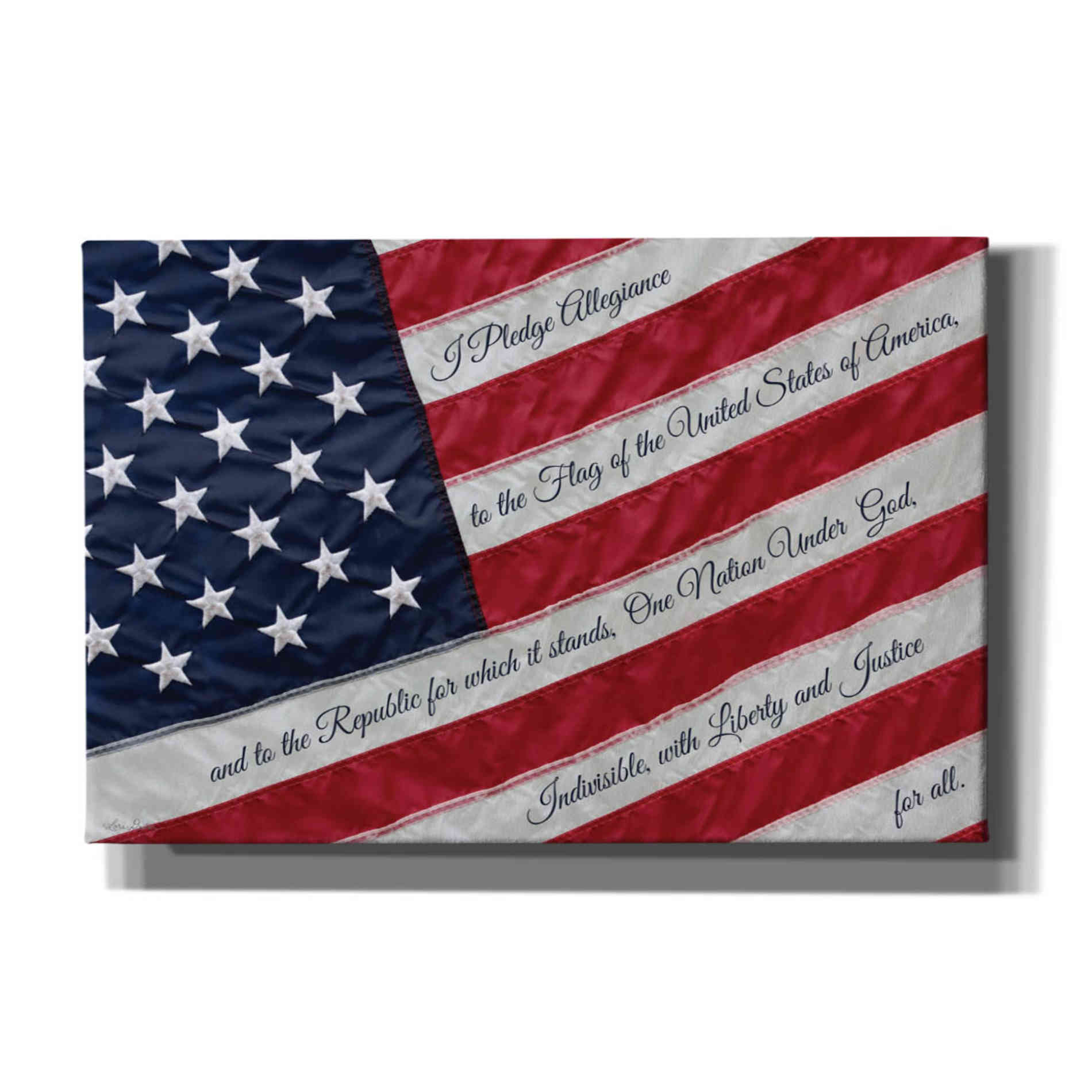 'I Pledge Allegiance II' by Lori Deiter, Canvas Wall Art