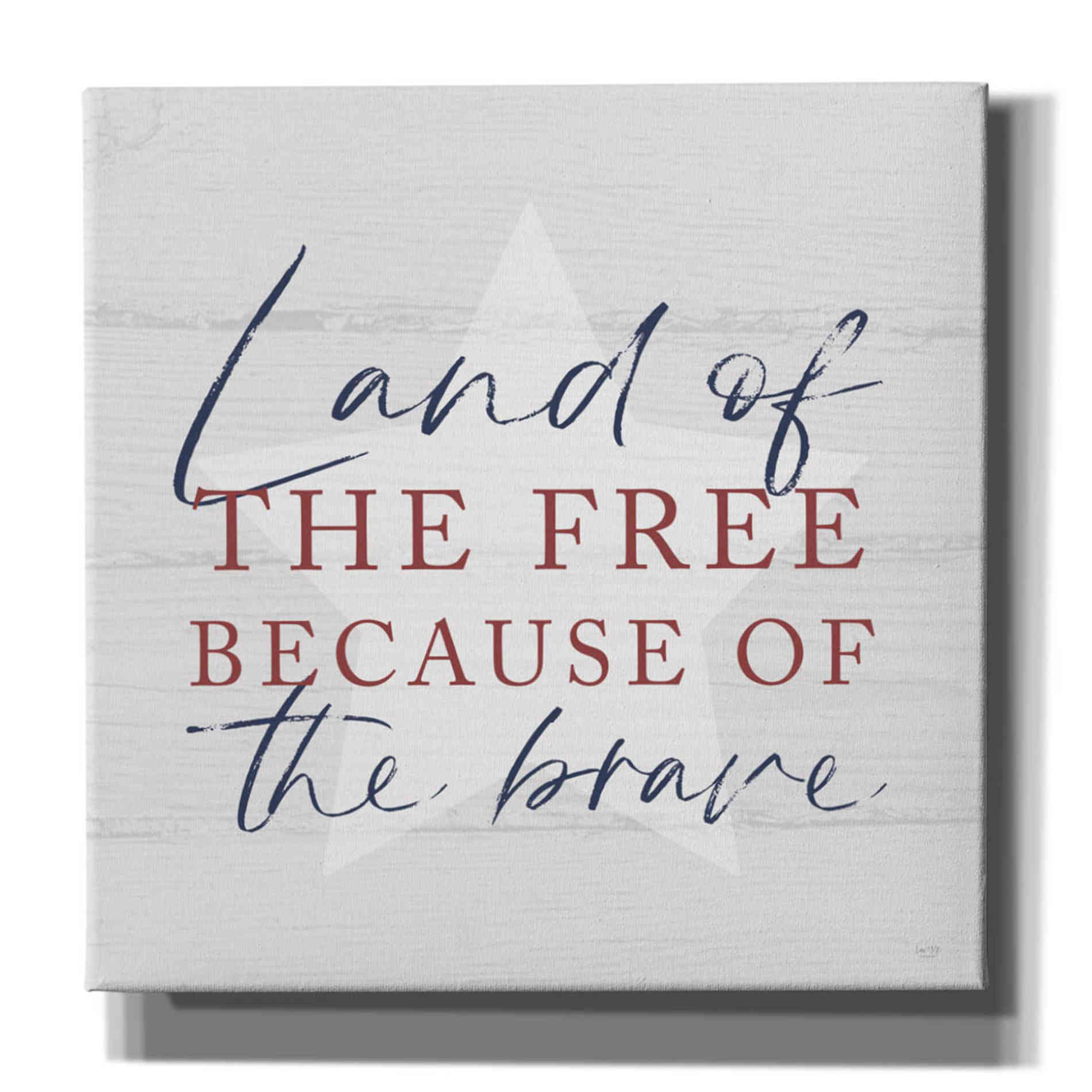'Land of the Free' by Lux + Me, Canvas Wall Art
