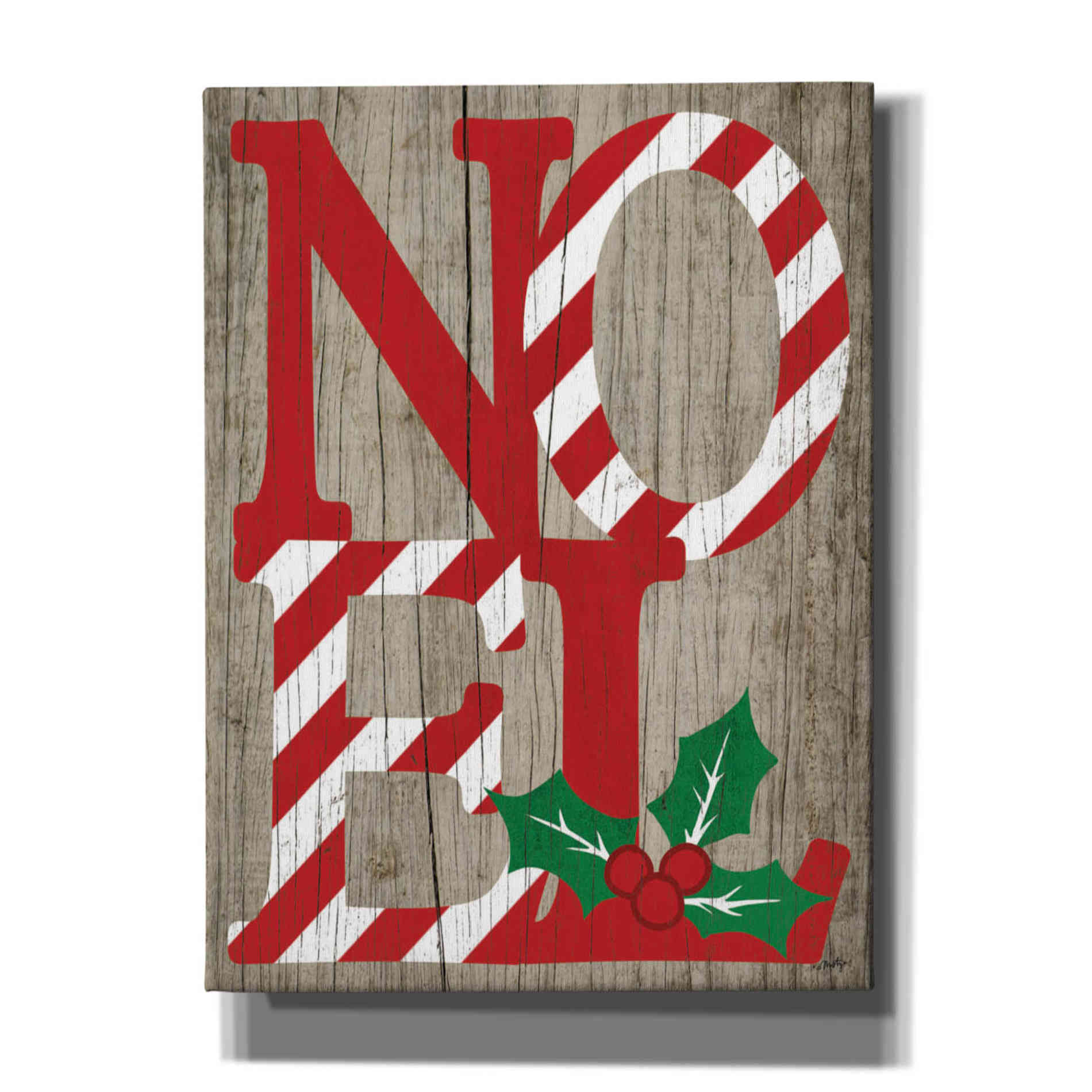 'Noel' by Misty Michelle, Canvas Wall Art