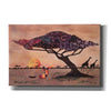 'Plains of Africa' by Alonzo Saunders, Canvas Wall Art