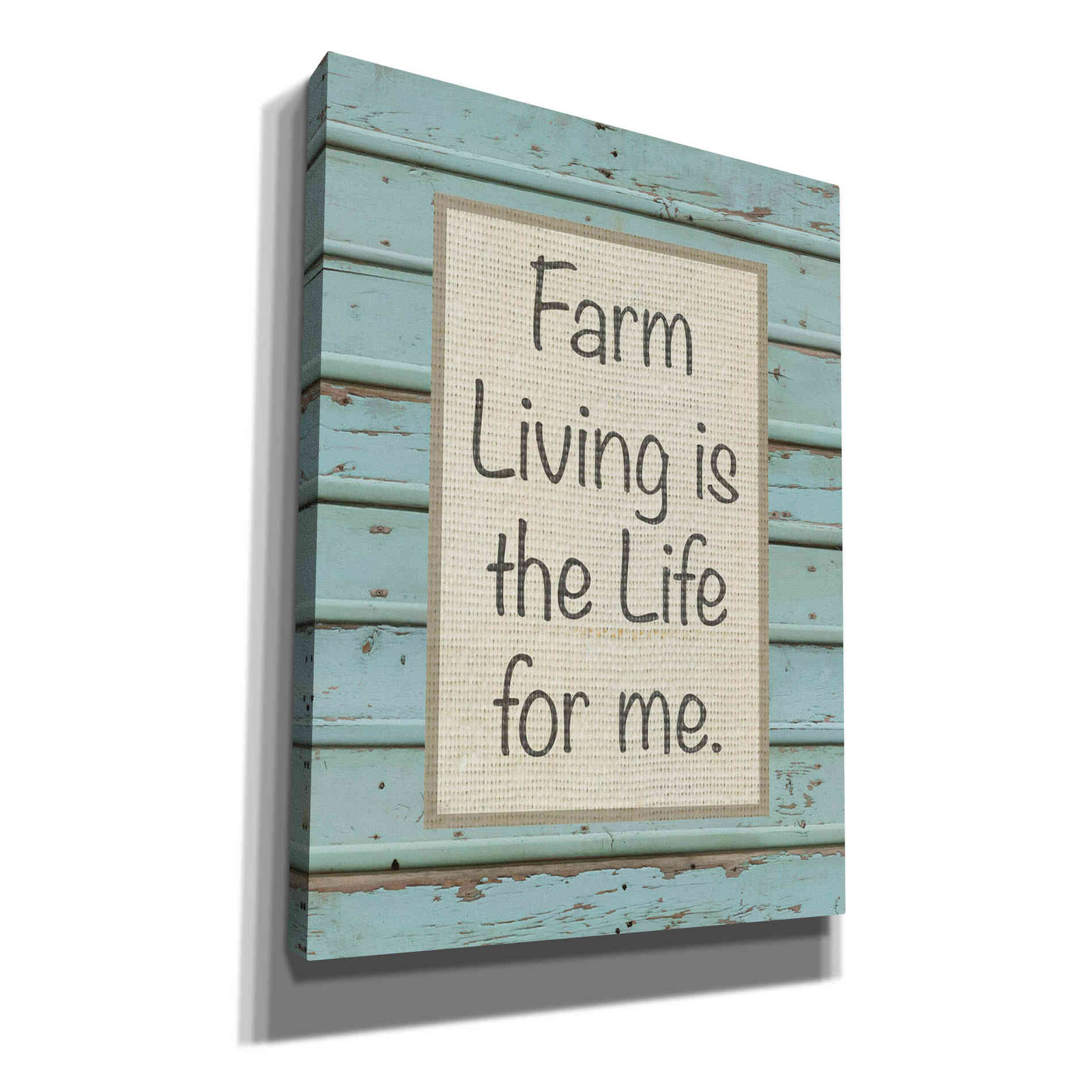 'Farm Sentiment II' by Alonzo Saunders, Canvas Wall Art