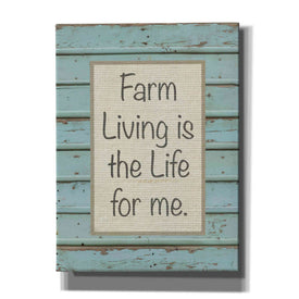 'Farm Sentiment II' by Alonzo Saunders, Canvas Wall Art