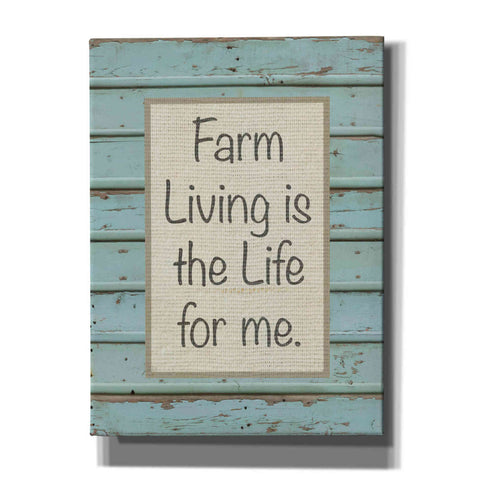 Image of 'Farm Sentiment II' by Alonzo Saunders, Canvas Wall Art