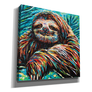 'Painted Sloth I' by Carolee Vitaletti, Canvas Wall Art