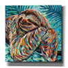 'Painted Sloth II' by Carolee Vitaletti, Canvas Wall Art