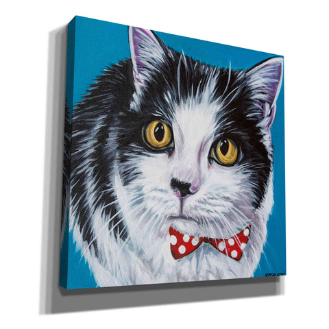 Image of 'Classy Cat I' by Carolee Vitaletti, Canvas Wall Art