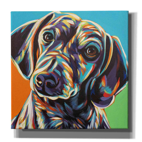 Image of 'Painted Dachshund II' by Carolee Vitaletti, Canvas Wall Art