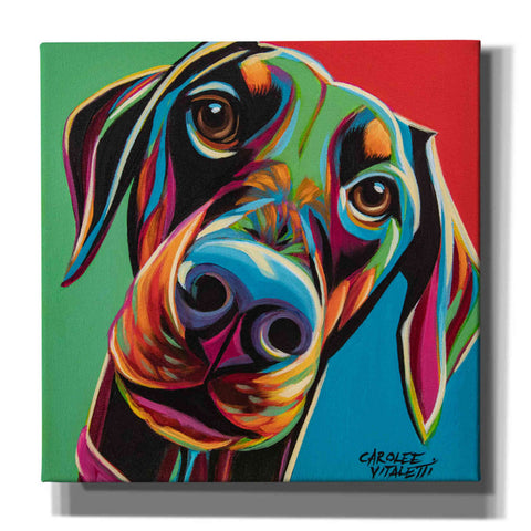 Image of 'Chroma Dogs I' by Carolee Vitaletti, Canvas Wall Art