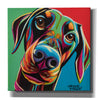 'Chroma Dogs I' by Carolee Vitaletti, Canvas Wall Art