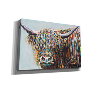 'Woolly Highland I' by Carolee Vitaletti, Canvas Wall Art