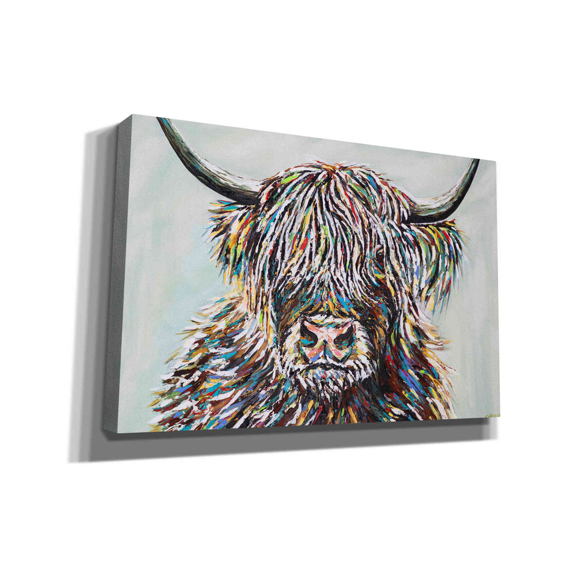 'Woolly Highland II' by Carolee Vitaletti, Canvas Wall Art