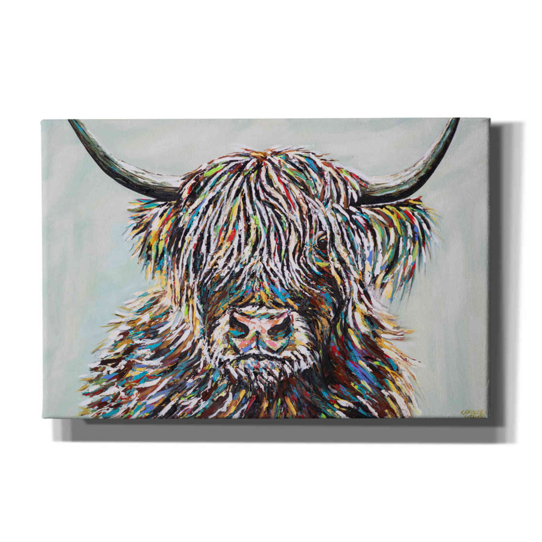 'Woolly Highland II' by Carolee Vitaletti, Canvas Wall Art