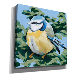 'Painterly Bird II' by Emma Scarvey, Canvas Wall Art