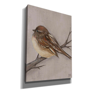 'Winter Bird III' by Jade Reynolds, Canvas Wall Art