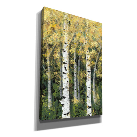 Image of 'Birch Treeline II' by Jade Reynolds, Canvas Wall Art