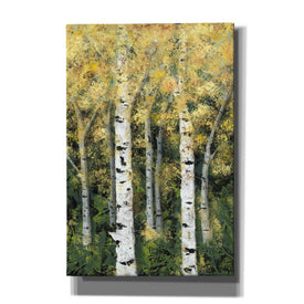 'Birch Treeline II' by Jade Reynolds, Canvas Wall Art