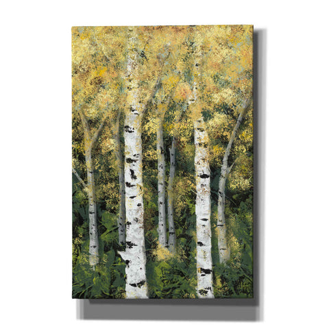 Image of 'Birch Treeline II' by Jade Reynolds, Canvas Wall Art