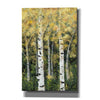 'Birch Treeline II' by Jade Reynolds, Canvas Wall Art