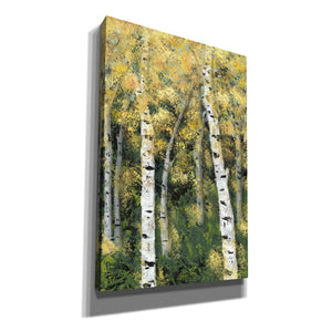 'Birch Treeline III' by Jade Reynolds, Canvas Wall Art