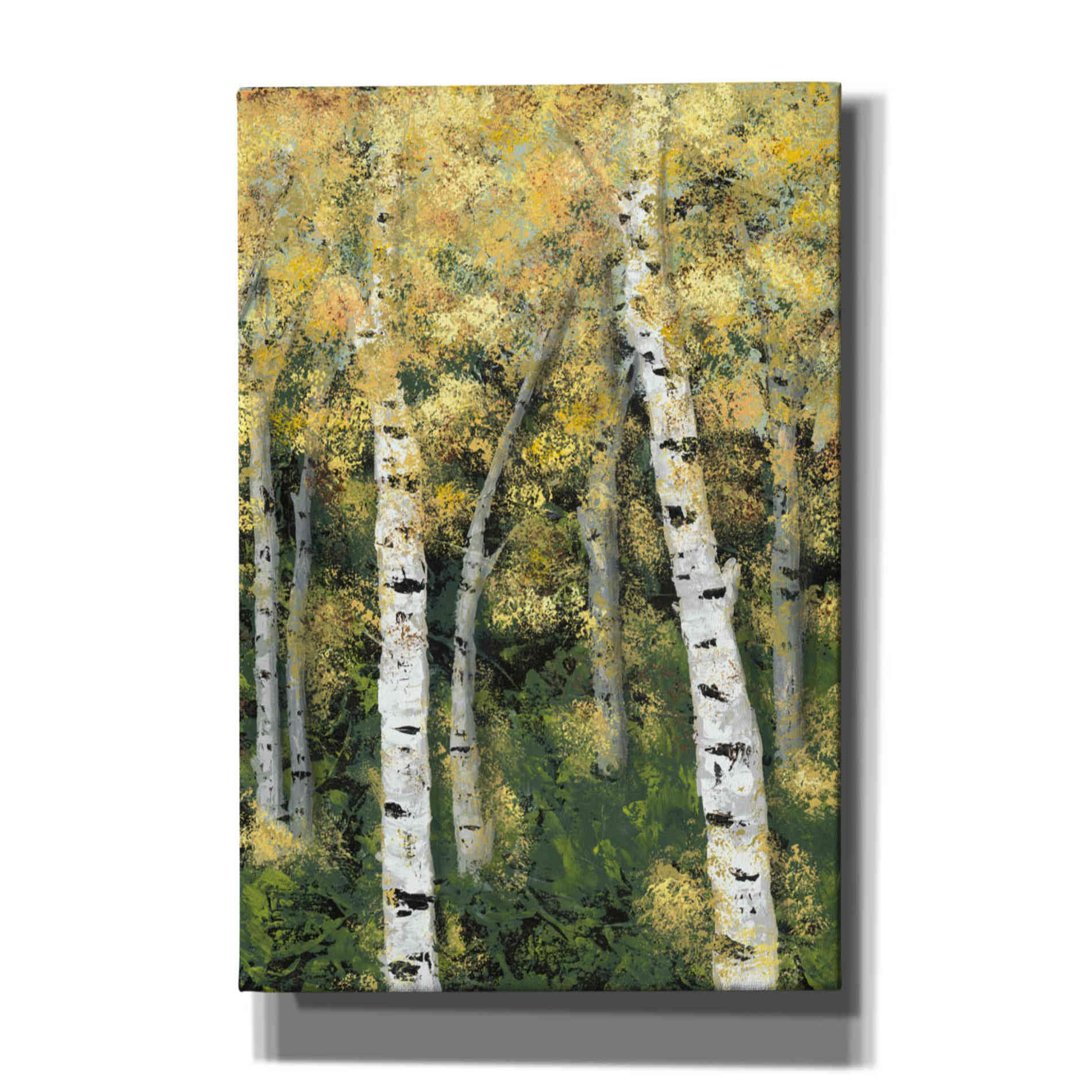 'Birch Treeline III' by Jade Reynolds, Canvas Wall Art