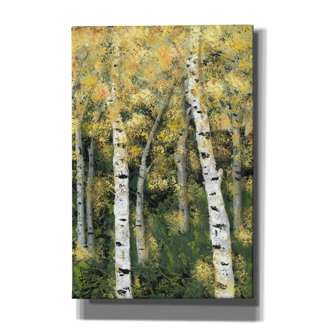 Image of 'Birch Treeline III' by Jade Reynolds, Canvas Wall Art