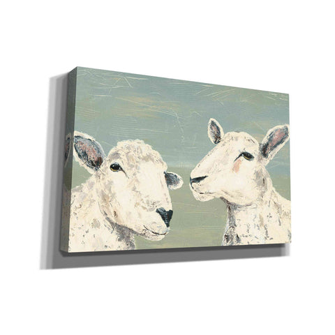 Image of 'Bashful Sheep I' by Jade Reynolds, Canvas Wall Art