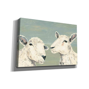 'Bashful Sheep I' by Jade Reynolds, Canvas Wall Art