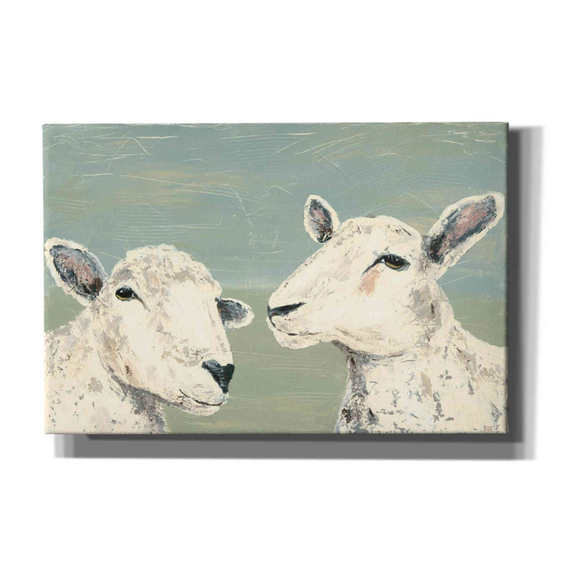 'Bashful Sheep I' by Jade Reynolds, Canvas Wall Art