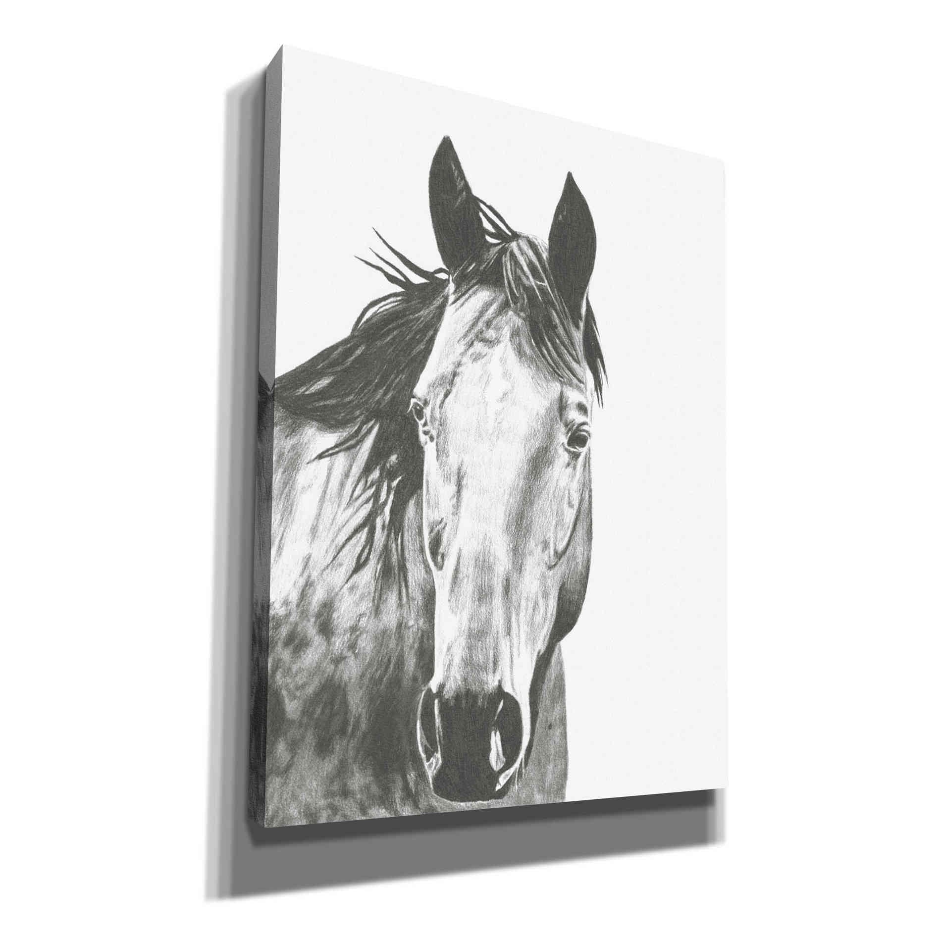 'Wildlife Snapshot Horse I' by Naomi McCavitt, Canvas Wall Art