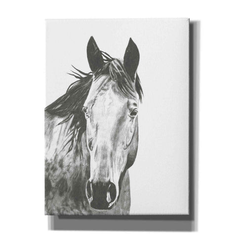 Image of 'Wildlife Snapshot Horse I' by Naomi McCavitt, Canvas Wall Art