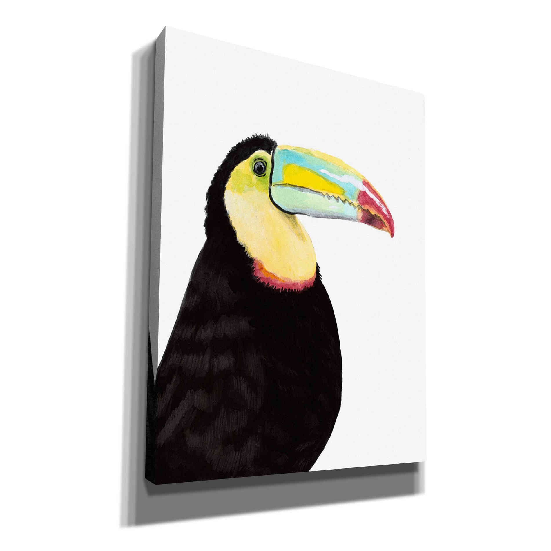 'Watercolor Toucan' by Naomi McCavitt, Canvas Wall Art