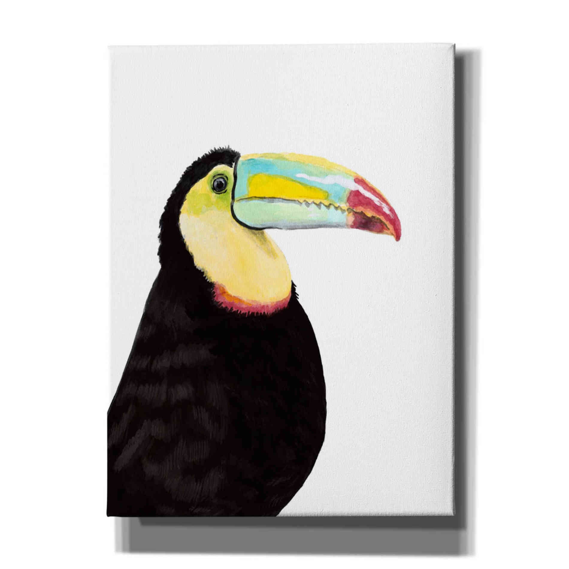 'Watercolor Toucan' by Naomi McCavitt, Canvas Wall Art