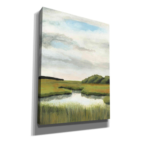 Image of 'Marsh Landscapes II' by Naomi McCavitt, Canvas Wall Art