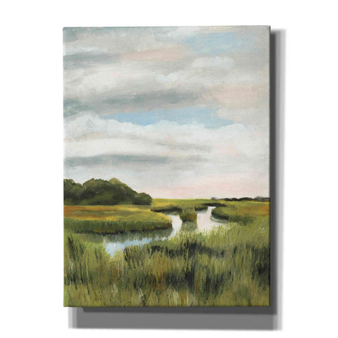 Image of 'Marsh Landscapes I' by Naomi McCavitt, Canvas Wall Art