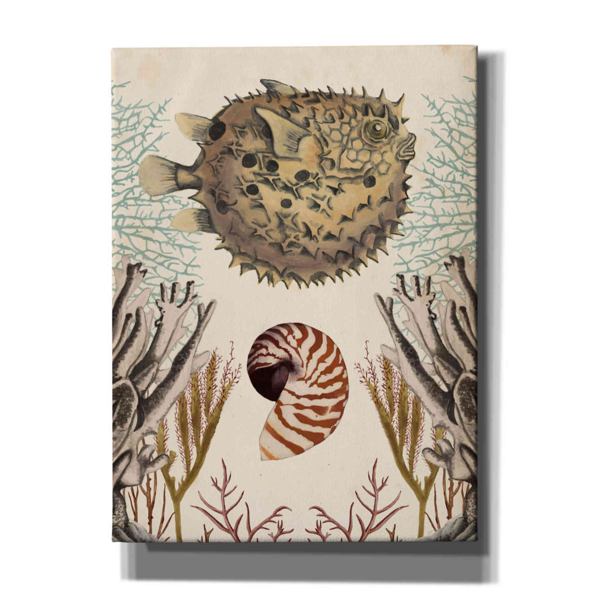 'Antiquarian Menagerie-Puffer Fish' by Naomi McCavitt, Canvas Wall Art