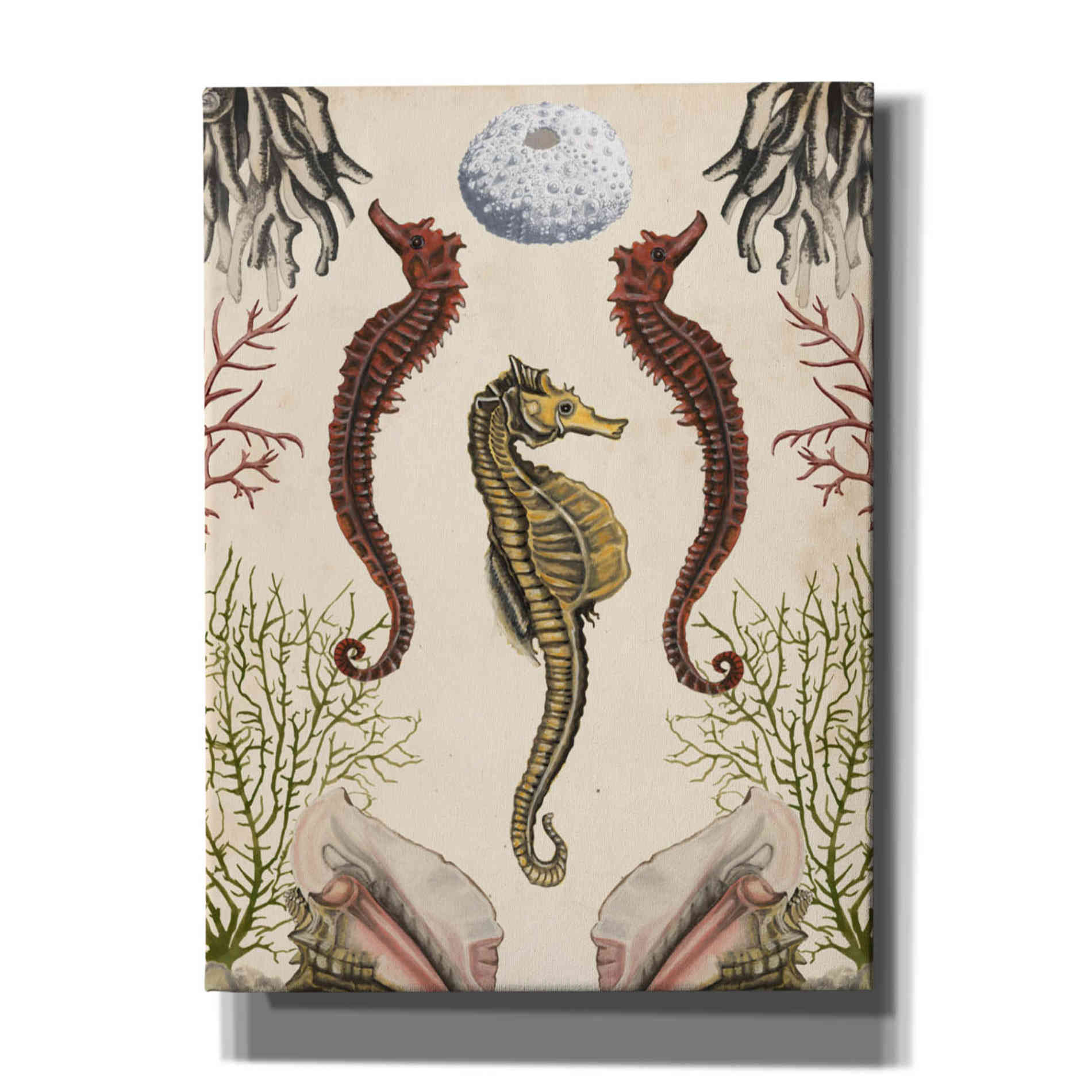 'Antiquarian Menagerie-Seahorse' by Naomi McCavitt, Canvas Wall Art