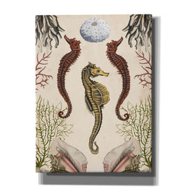 'Antiquarian Menagerie-Seahorse' by Naomi McCavitt, Canvas Wall Art