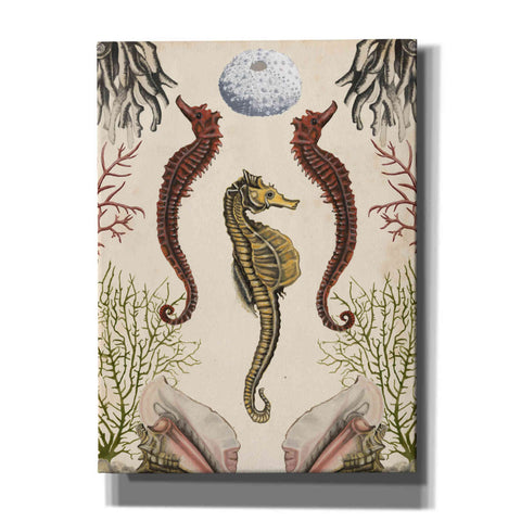 Image of 'Antiquarian Menagerie-Seahorse' by Naomi McCavitt, Canvas Wall Art