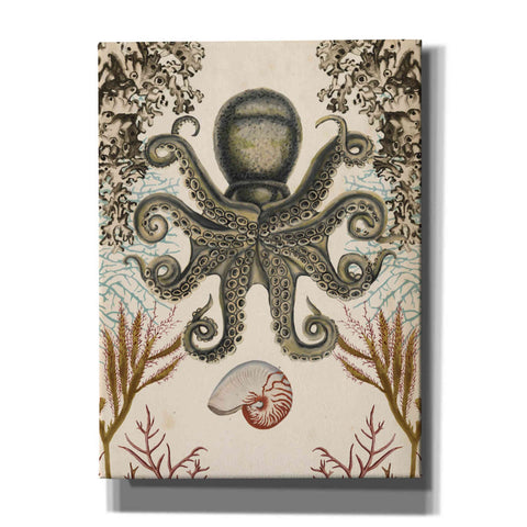 Image of 'Antiquarian Menagerie-Octopus' by Naomi McCavitt, Canvas Wall Art