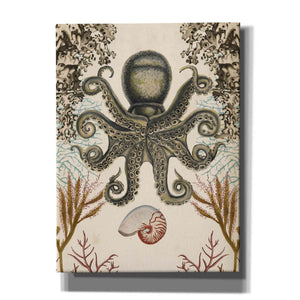 'Antiquarian Menagerie-Octopus' by Naomi McCavitt, Canvas Wall Art