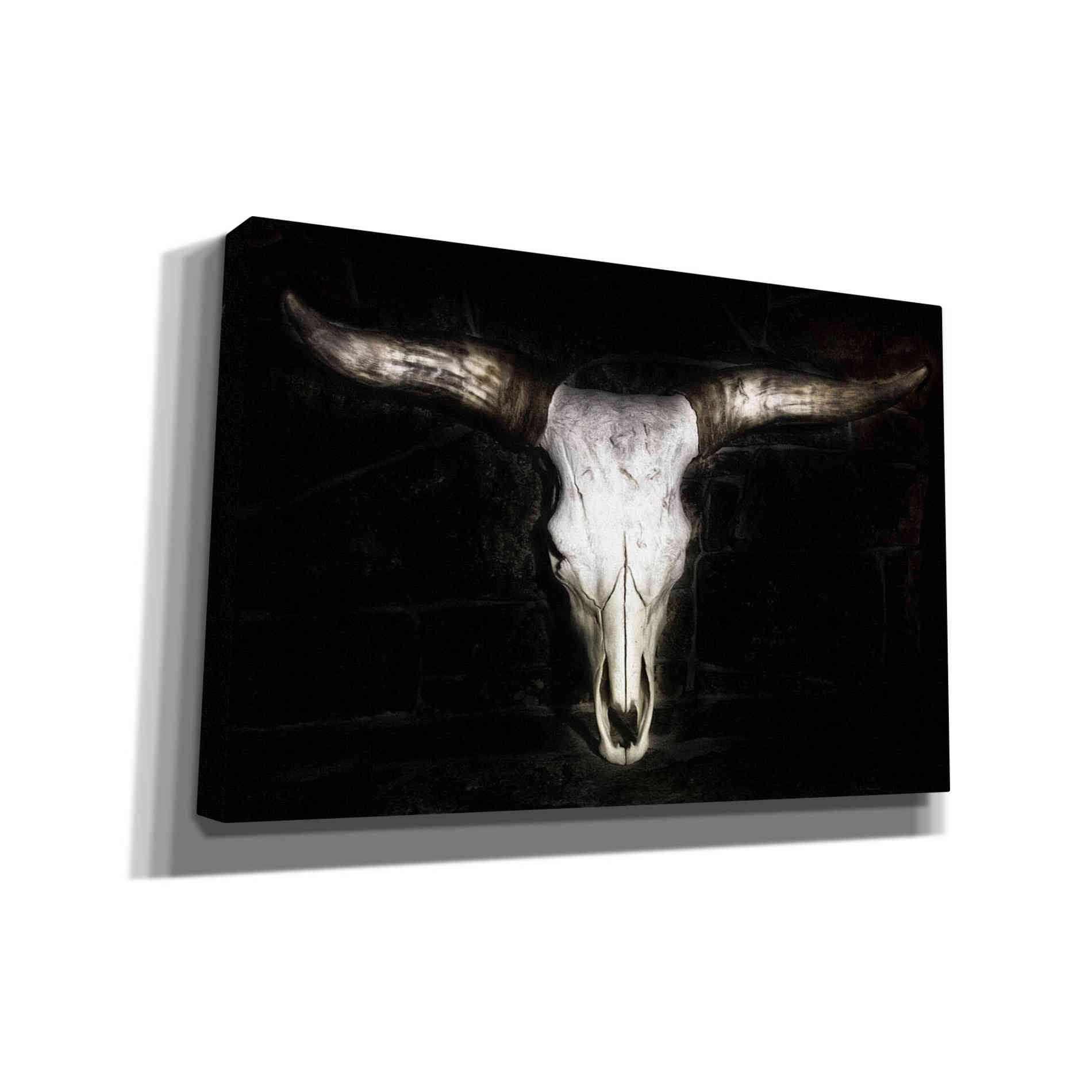 'Cow Skull' by PH Burchett, Canvas Wall Art