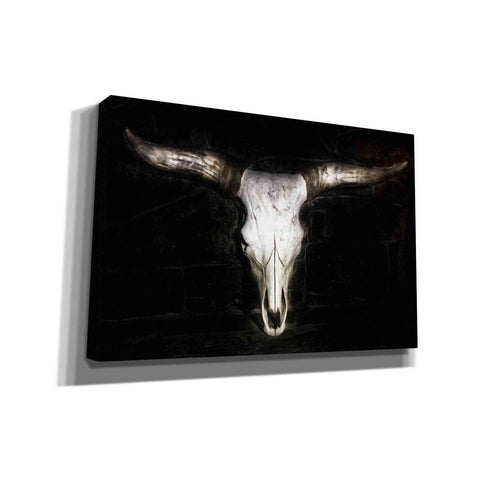 Image of 'Cow Skull' by PH Burchett, Canvas Wall Art