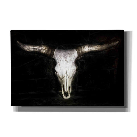 Image of 'Cow Skull' by PH Burchett, Canvas Wall Art