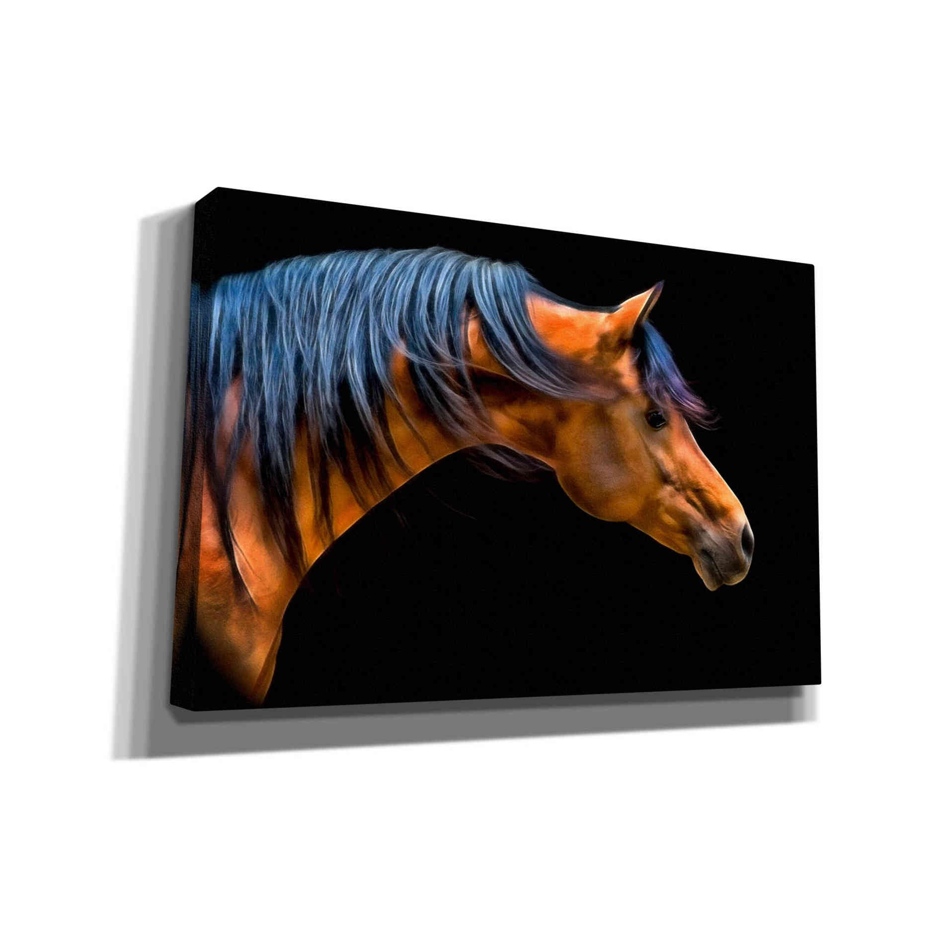 'Wind Swept' by PH Burchett, Canvas Wall Art