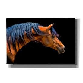 'Wind Swept' by PH Burchett, Canvas Wall Art