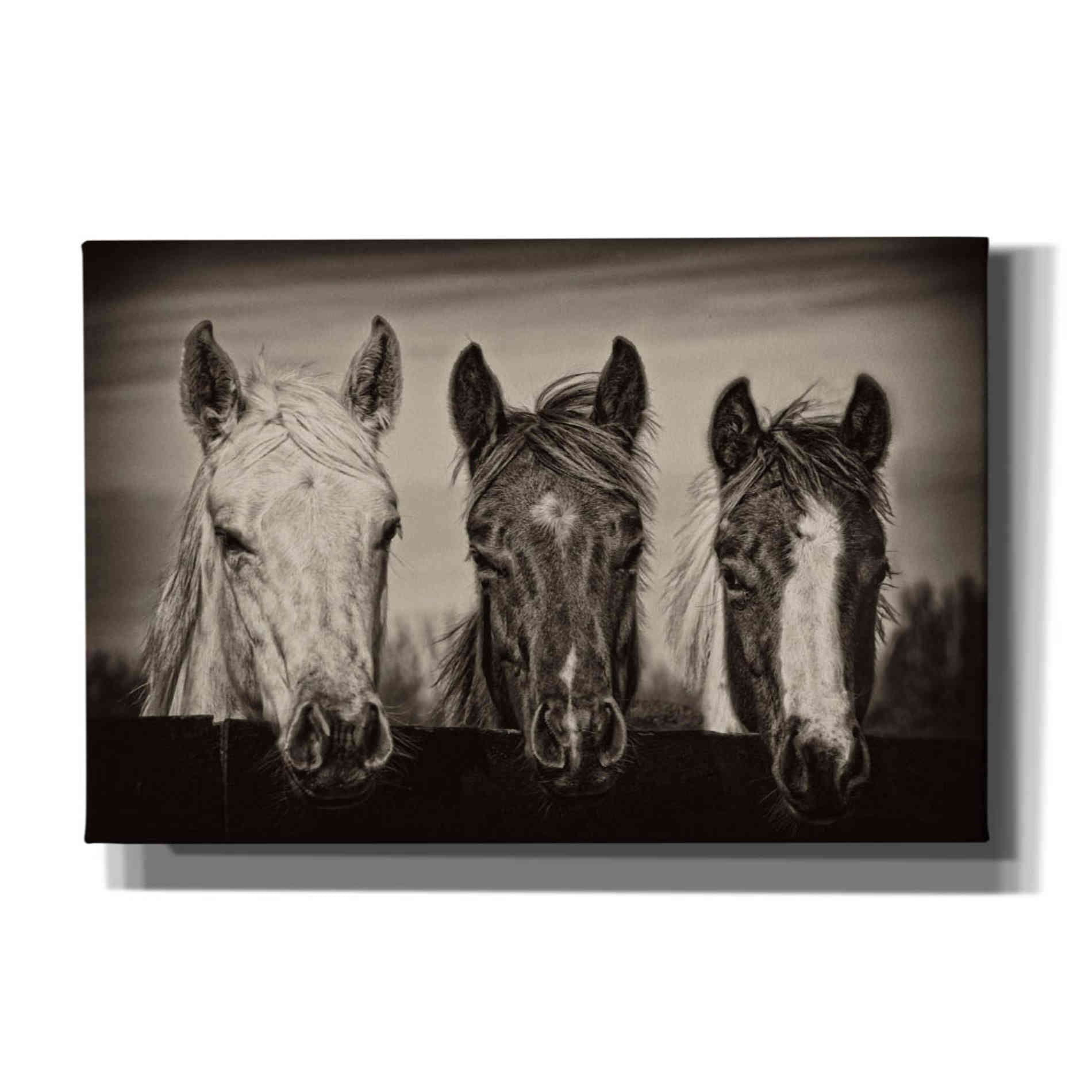 'Three Amigos I' by PH Burchett, Canvas Wall Art