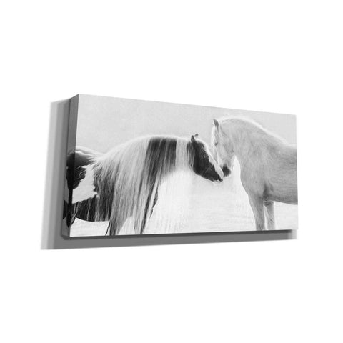 Image of 'Collection of Horses III' by PH Burchett, Canvas Wall Art