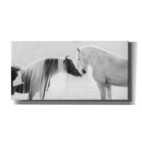 Image of 'Collection of Horses III' by PH Burchett, Canvas Wall Art